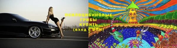 молекула духа Богданович