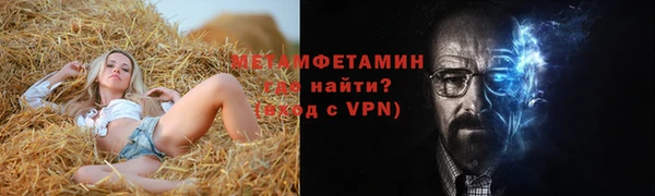 крисы Новозыбков