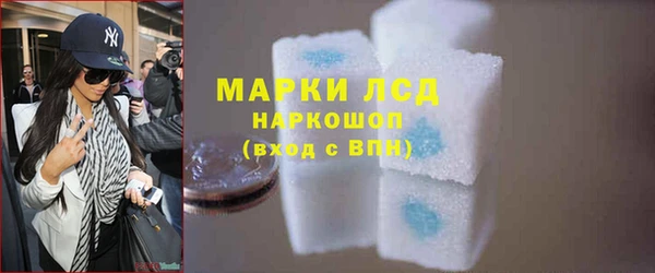 молекула духа Богданович
