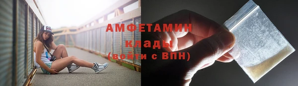 хмурый Белокуриха