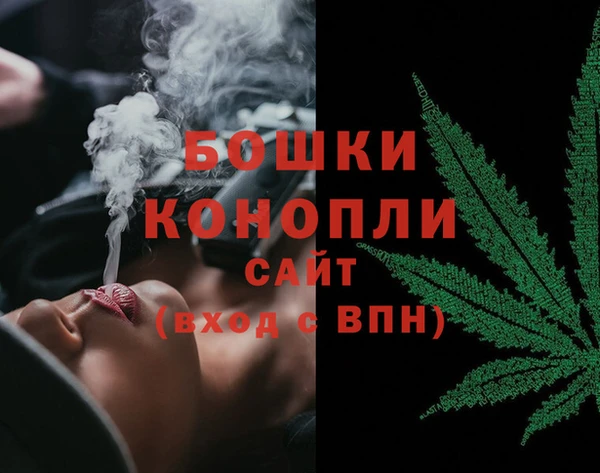 хмурый Белокуриха