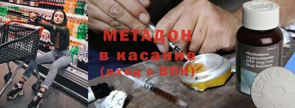 молекула духа Богданович