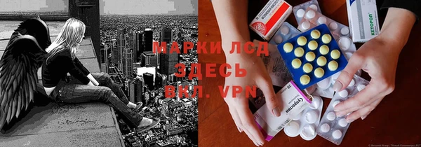 хмурый Белокуриха