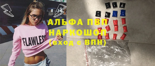 молекула духа Богданович