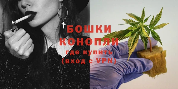 молекула духа Богданович